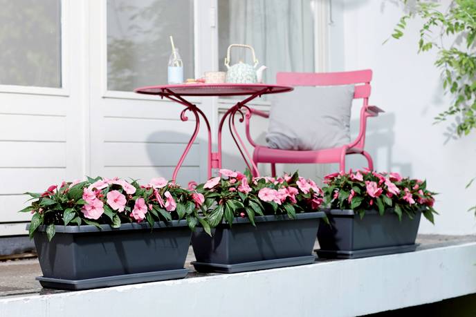 barcelona xl schotel 60cm antraciet